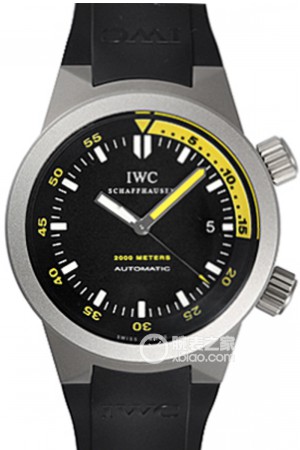 IWC万国表海洋时计系列IW353804
