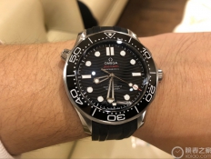 歐米茄海馬系列210.32.42.20.01.001