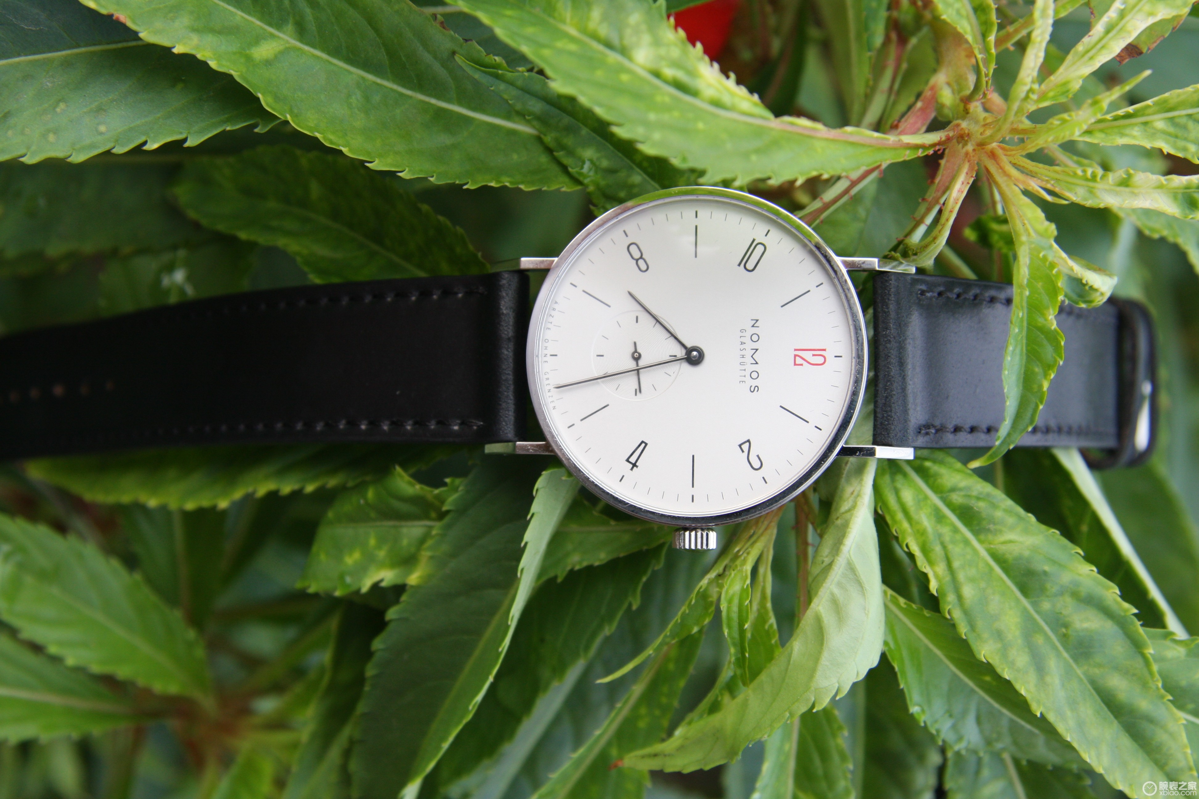 NOMOS TANGENTE系列139