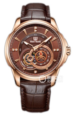 ANG天王手表型号GS5835P\/D轮·时代系列价
