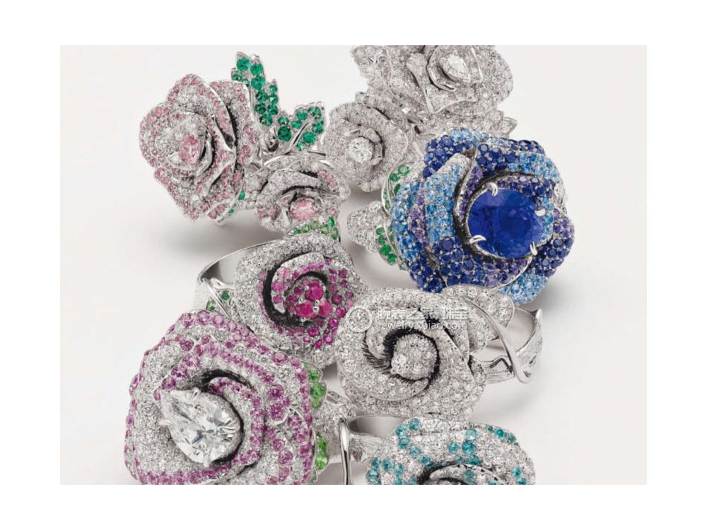 > rose dior bagatelle > 图片1
