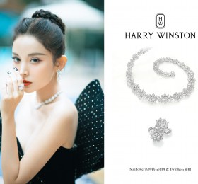 海瑞溫斯頓WINSTON CLUSTER珠寶系列 EADPCLLNWC