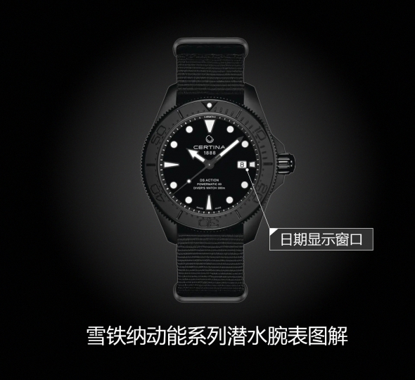雪铁纳动能 DS ACTION系列C032.607.38.051.00图解