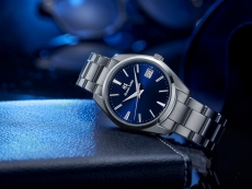 冠蓝狮Heritage Collection系列SBGP013G