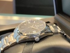 冠蓝狮Heritage Collection系列SBGP013G
