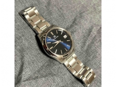 冠蓝狮Heritage Collection系列SBGP013G