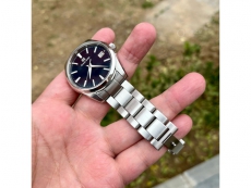 冠蓝狮Heritage Collection系列SBGP013G