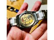 冠蓝狮Heritage Collection系列SBGP013G