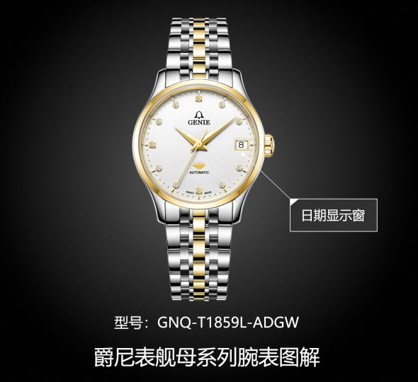 爵尼表舰母系列GNQ-T1859L-ADGW图解