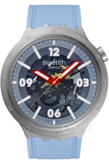 斯沃琪SWATCH ESSENTIALS系列SB07S122