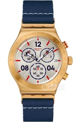 斯沃琪SWATCH ESSENTIALS系列YVG419