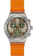 斯沃琪SWATCH ESSENTIALS系列YVS101