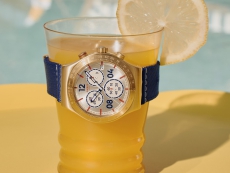 斯沃琪SWATCH ESSENTIALS系列YVG419