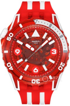 斯沃琪SWATCH SCUBAQUA SSCU09R100