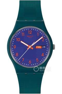 斯沃琪SWATCH ESSENTIALS SO28N706