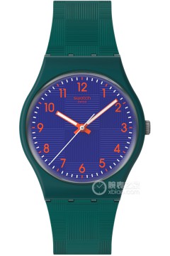 斯沃琪SWATCH ESSENTIALS SO28N120