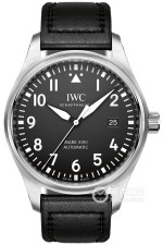 IWC万国表飞行员系列IW327001