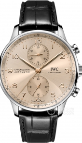 IWC万国表 IW371624