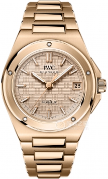IWC万国表工程师系列IW324903