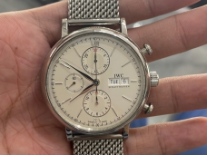 IWC万国表柏涛菲诺系列IW391009