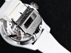 IWC万国表飞行员系列IW503008