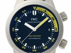 IWC万国表海洋时计系列IW353804