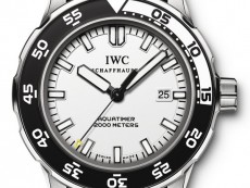 IWC万国表海洋时计系列IW356811