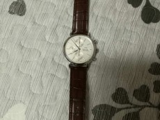 IWC万国表柏涛菲诺系列IW391027