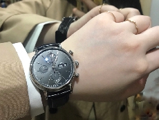 IWC万国表柏涛菲诺系列IW391008