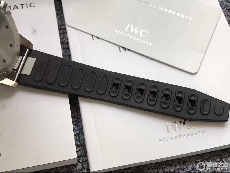 IWC万国表海洋时计系列IW329001