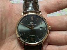 IWC万国表柏涛菲诺系列IW356511