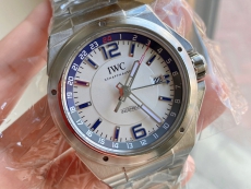 IWC万国表工程师系列IW324404