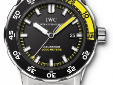 IWC万国表海洋时计系列IW356801