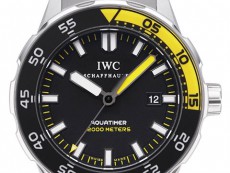 IWC万国表海洋时计系列IW356801