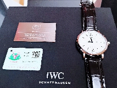 IWC万国表周年纪念系列IW356519