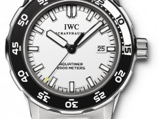 IWC万国表海洋时计系列IW356809