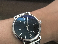 IWC万国表柏涛菲诺系列IW356506