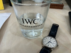 IWC万国表柏涛菲诺系列IW356527