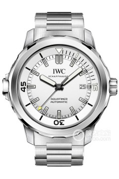 IWC万国表海洋时计IW329004