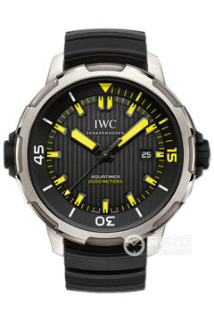 IWC万国表海洋时计IW358001