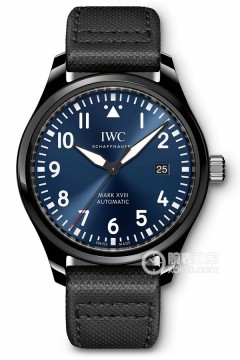 <em>IWC</em>万国表飞行员系列IW324703(IW324703)手表