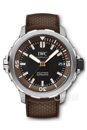 IWC万国表海洋时计IW341002