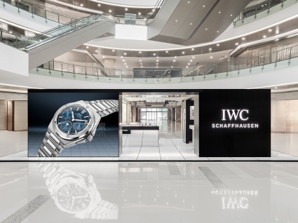 IWC萬國表工程師系列IW344903