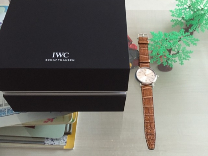 IWC万国表柏涛菲诺系列IW458101