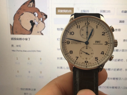 IWC万国表周年纪念系列IW371602