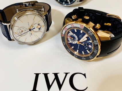 IWC万国表柏涛菲诺系列IW359001