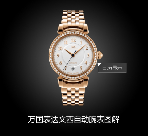 IWC万国表达文西系列IW458310图解