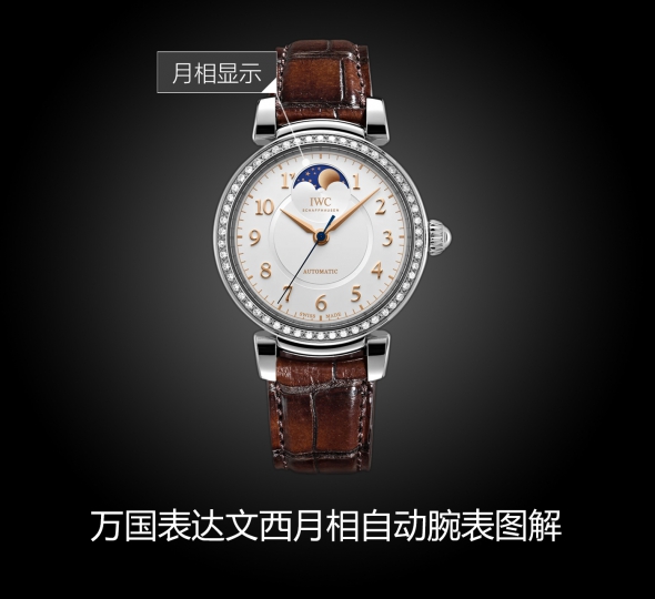 IWC万国表达文西系列IW459307图解