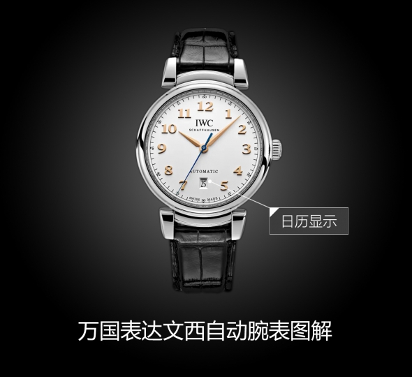 IWC万国表达文西系列IW356601图解