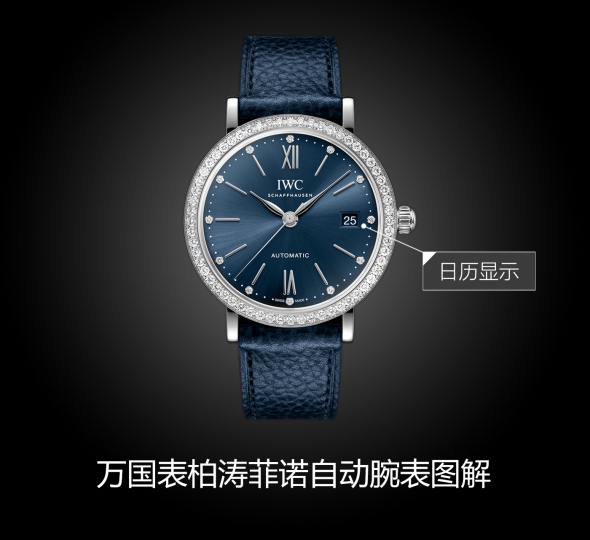 IWC万国表柏涛菲诺系列IW658602图解